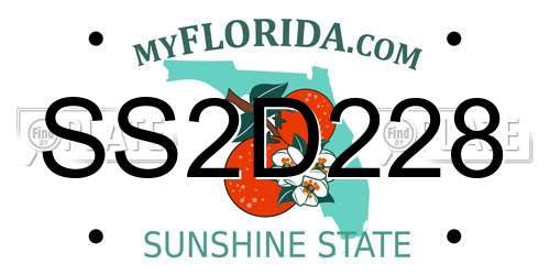 SS2D228 Florida License Plate