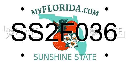 SS2F036 Florida License Plate