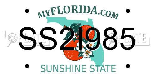 SS2I985 Florida License Plate