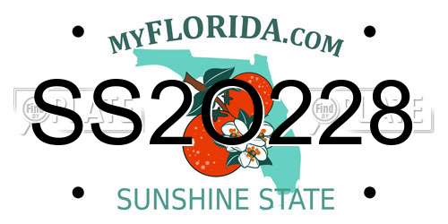SS2O228 Florida License Plate