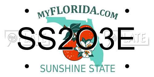 SS2O3E Florida License Plate