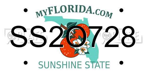 SS2O728 Florida License Plate