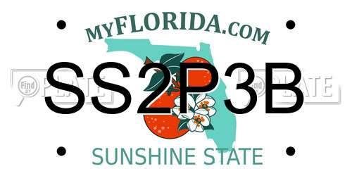SS2P3B Florida License Plate