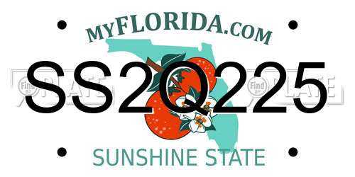 SS2Q225 Florida License Plate
