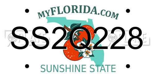 SS2Q228 Florida License Plate