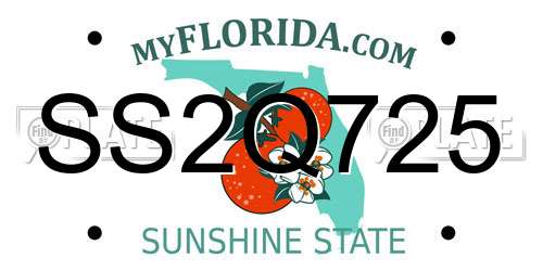 SS2Q725 Florida License Plate