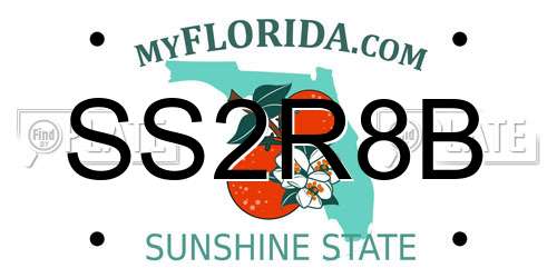 SS2R8B Florida License Plate