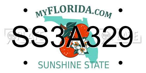 SS3A329 Florida License Plate