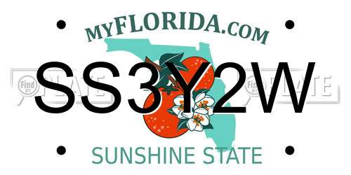 SS3Y2W Florida License Plate