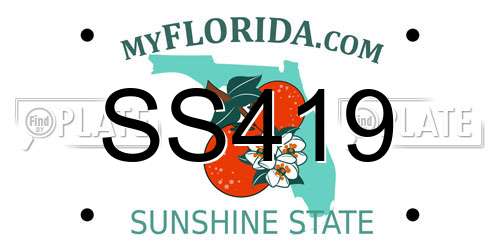 SS419 Florida License Plate