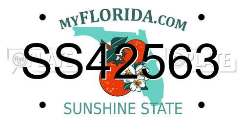 SS42563 Florida License Plate