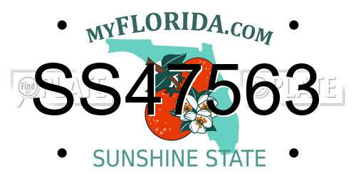 SS47563 Florida License Plate