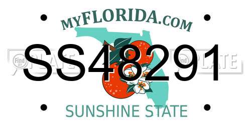 SS48291 Florida License Plate