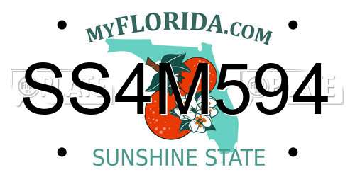 SS4M594 Florida License Plate
