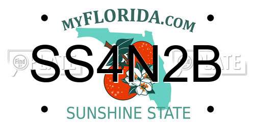 SS4N2B Florida License Plate