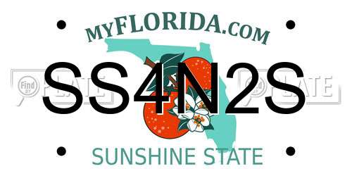 SS4N2S Florida License Plate