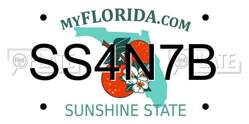 SS4N7B Florida License Plate