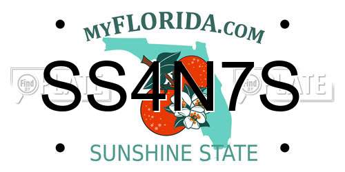 SS4N7S Florida License Plate