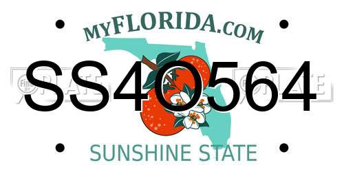 SS4O564 Florida License Plate