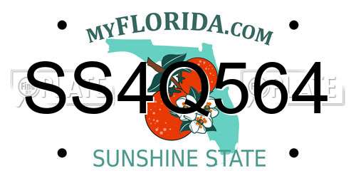 SS4Q564 Florida License Plate
