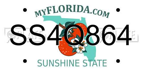 SS4Q864 Florida License Plate