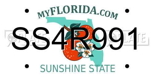SS4R991 Florida License Plate