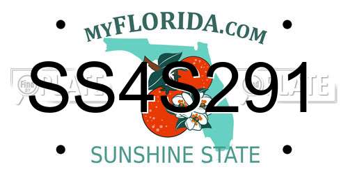 SS4S291 Florida License Plate