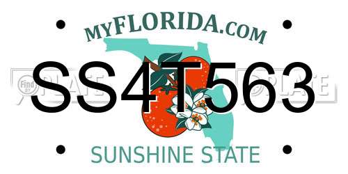 SS4T563 Florida License Plate