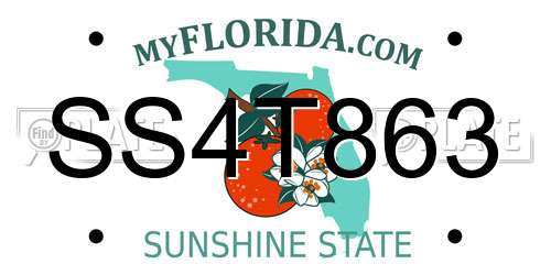 SS4T863 Florida License Plate