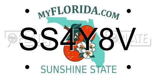 SS4Y8V Florida License Plate