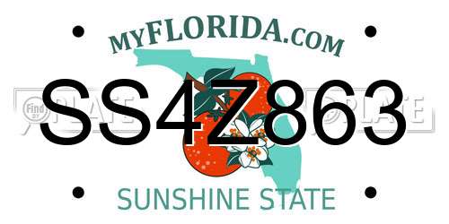 SS4Z863 Florida License Plate