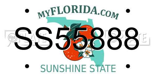 SS55888 Florida License Plate