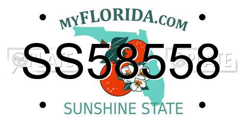 SS58558 Florida License Plate