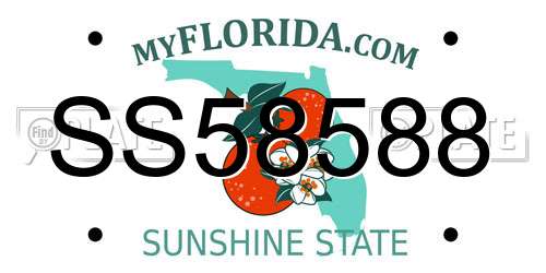SS58588 Florida License Plate