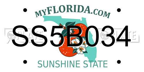 SS5B034 Florida License Plate
