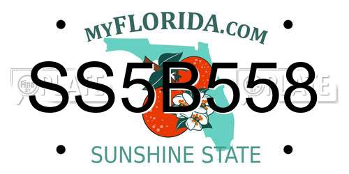SS5B558 Florida License Plate