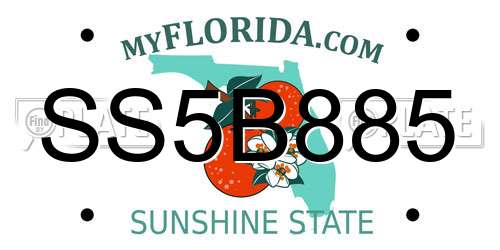 SS5B885 Florida License Plate