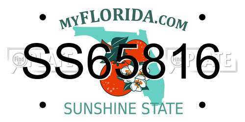 SS65816 Florida License Plate