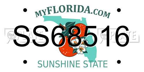 SS68516 Florida License Plate