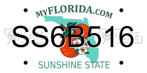 SS6B516 Florida License Plate