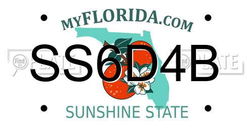 SS6D4B Florida License Plate