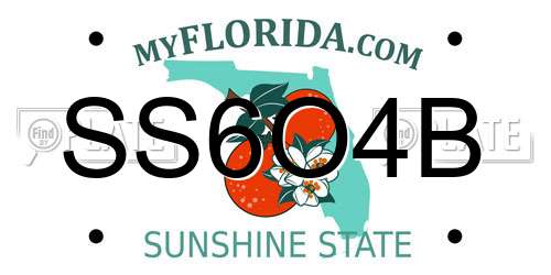 SS6O4B Florida License Plate
