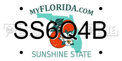SS6Q4B Florida License Plate