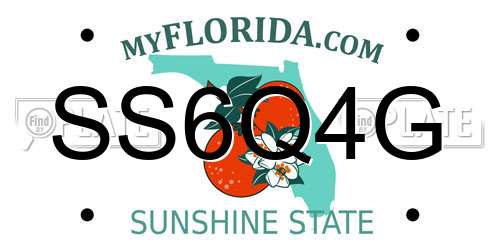 SS6Q4G Florida License Plate