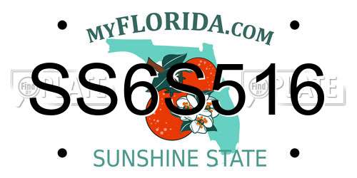 SS6S516 Florida License Plate