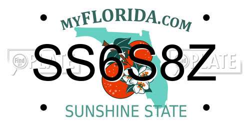 SS6S8Z Florida License Plate