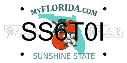 SS6T0I Florida License Plate