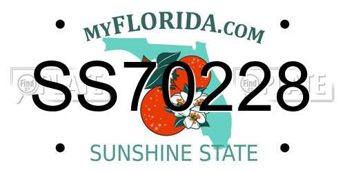 SS70228 Florida License Plate