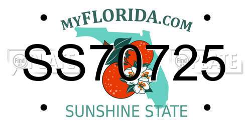 SS70725 Florida License Plate