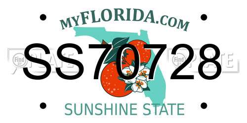 SS70728 Florida License Plate